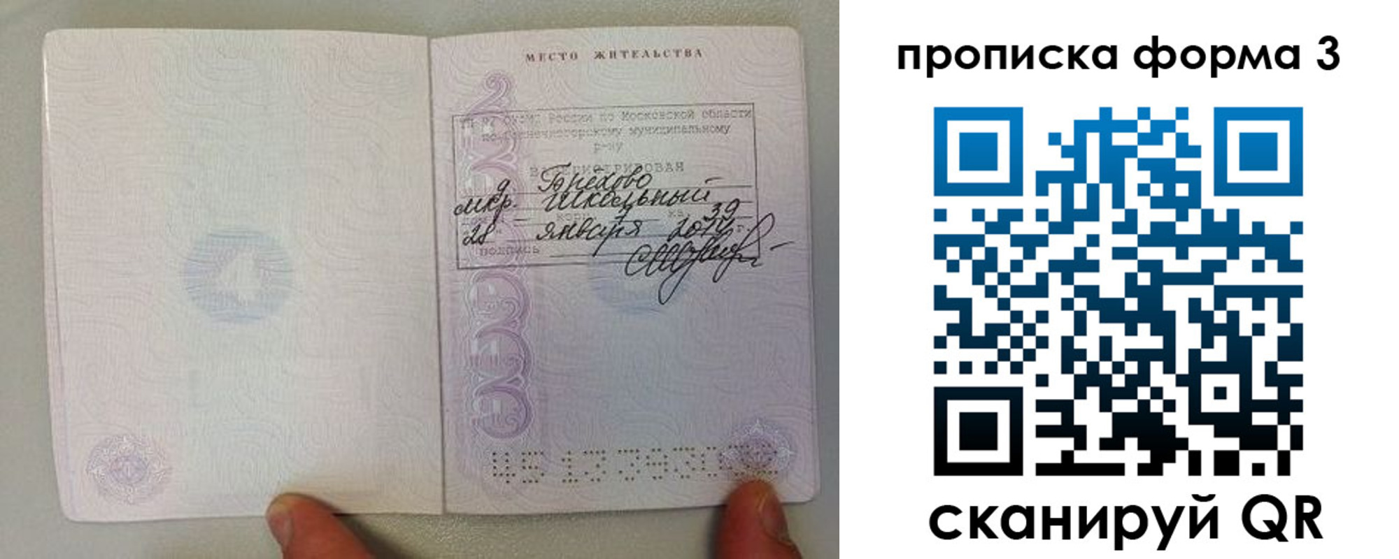 прописка гарантия в Йошкар-Оле